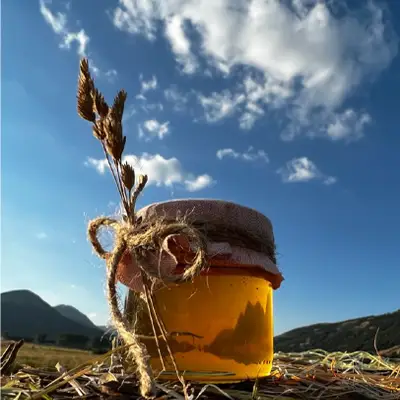 عسل گون مخصوص راکن۸۰۰گرمی