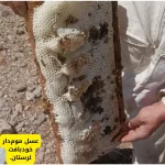 عسل موم دار خودبافت لرستان/ موم خودبیار